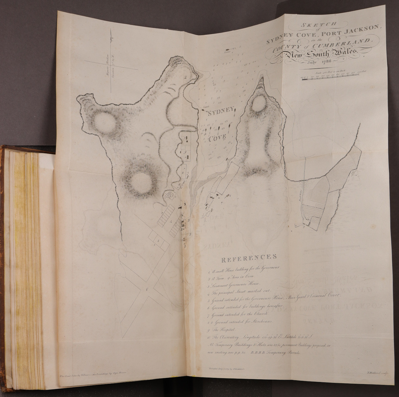 Plate 12